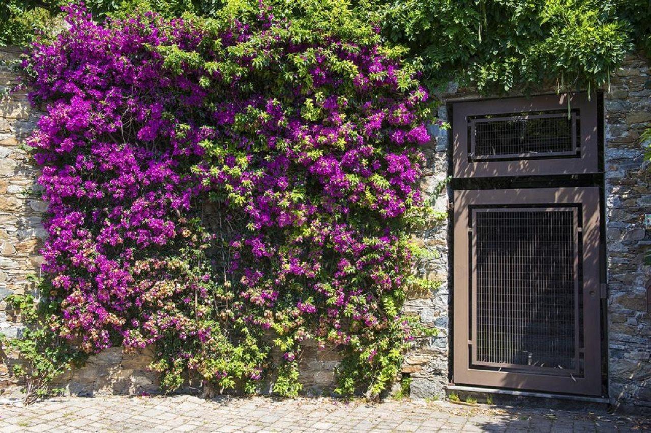 B&B Renalu Verbania Exteriér fotografie